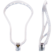 EAST COAST DYES�@ION�@�w�b�h